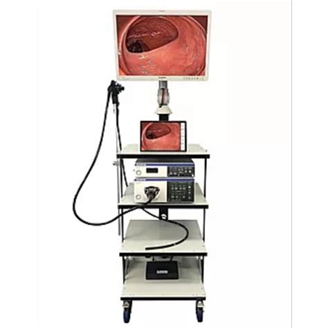 ollh|ollh endoscopy.